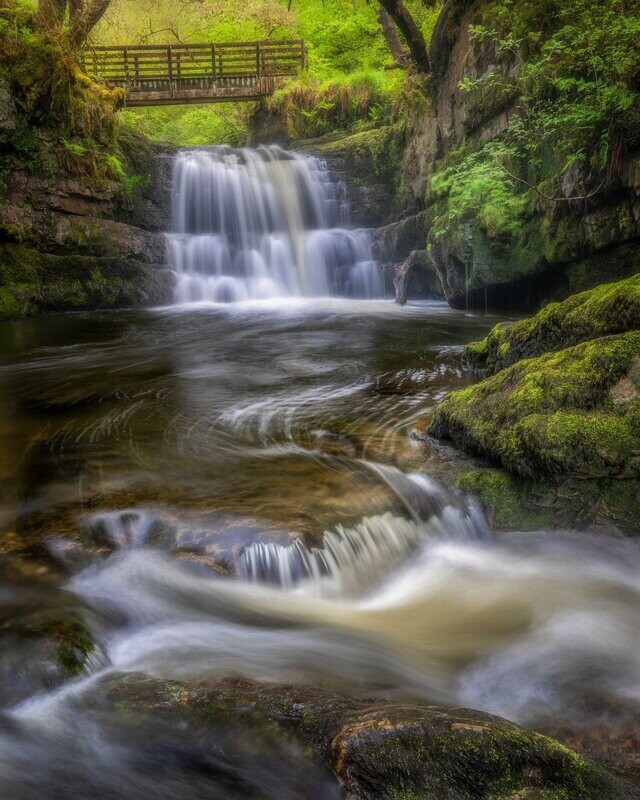 Sychryd Spring