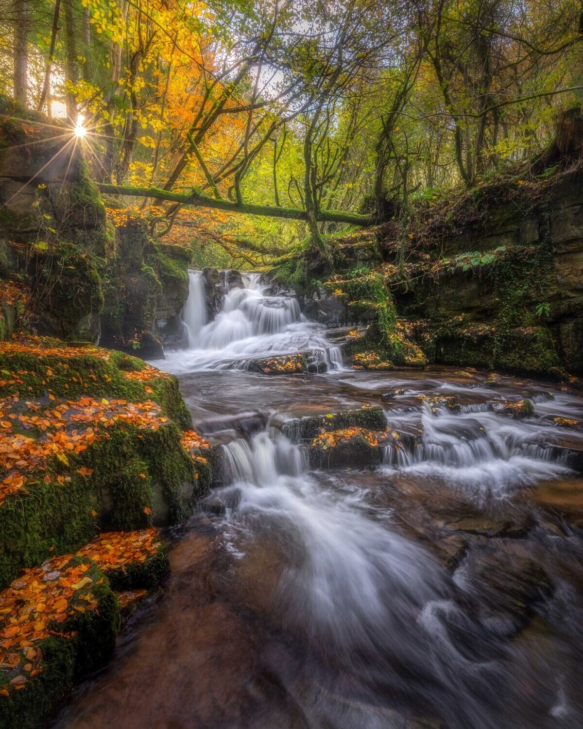 Ffwdgrech Upper Falls