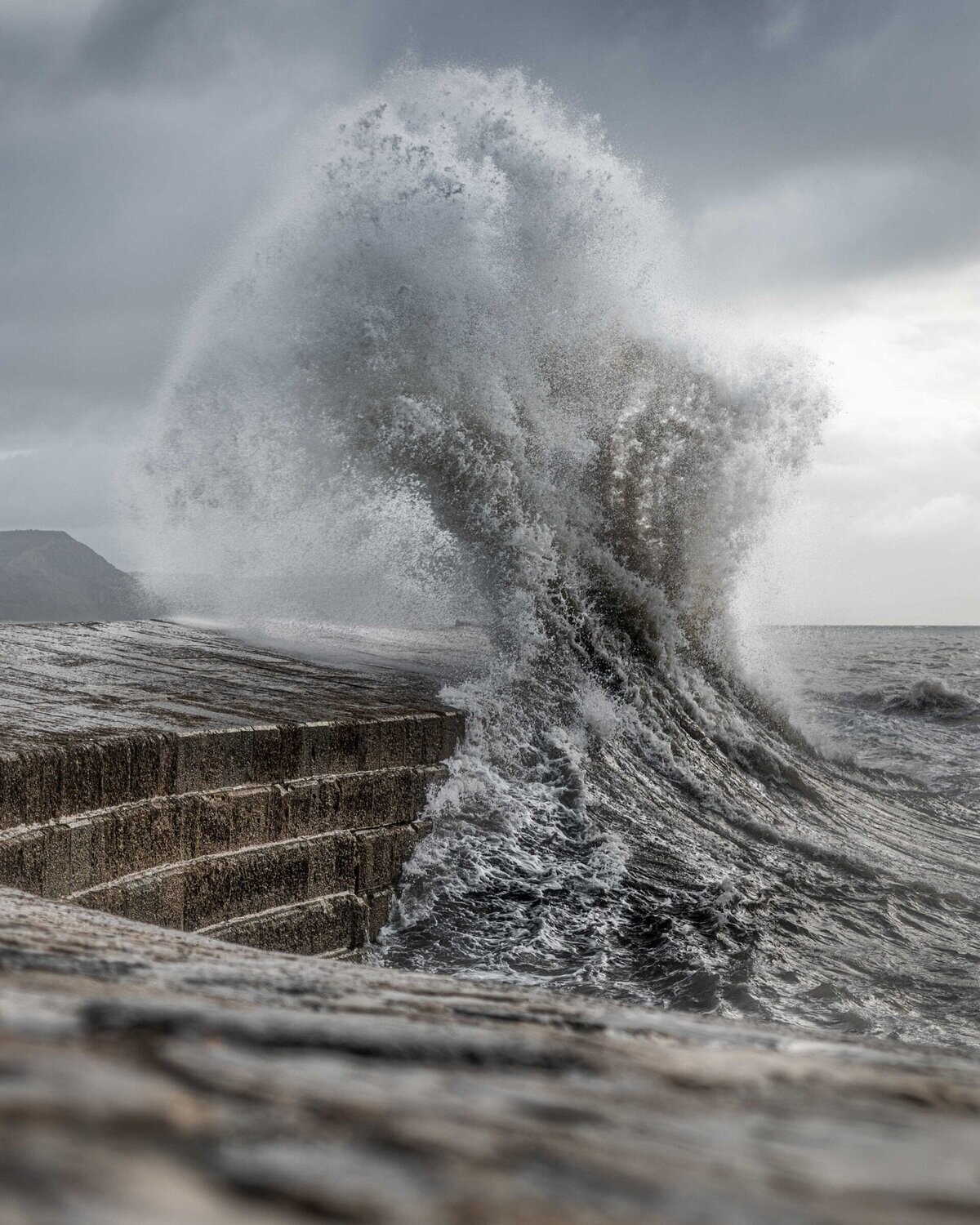 The Cobb 2