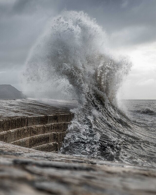 The Cobb 2