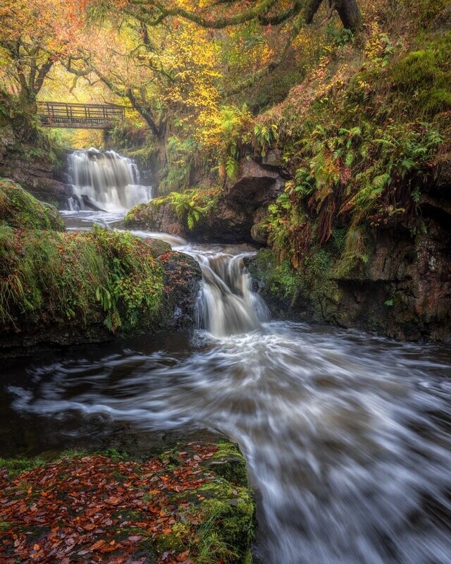 Sychryd Autumn
