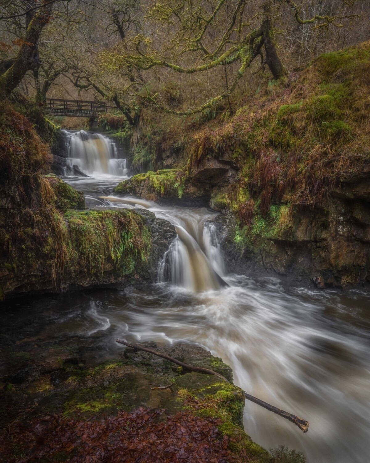 Sychryd Winter
