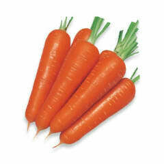 Carrots 1KG