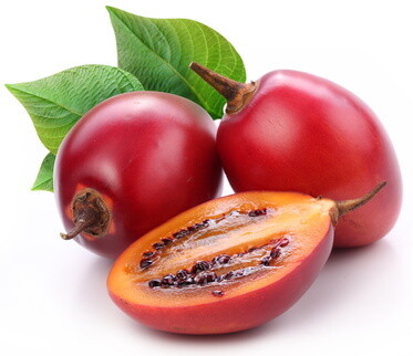 Tree Tomatoes 1KG