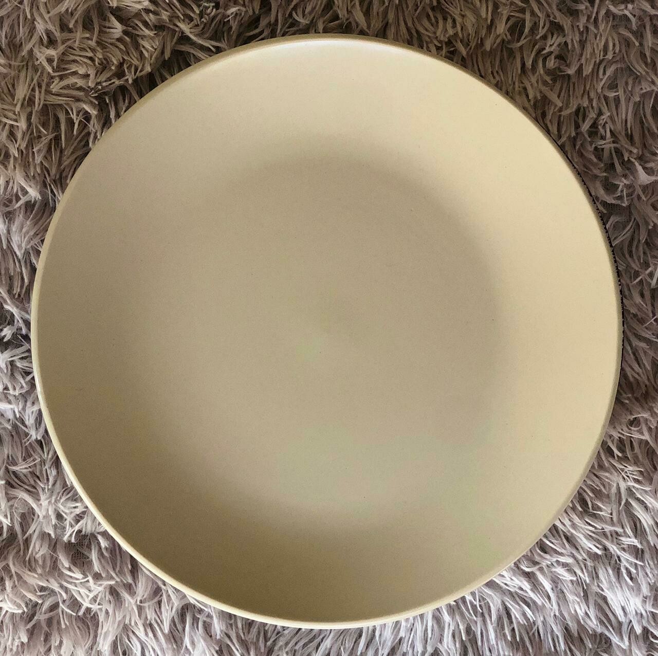 Set of 4 Light Grey 10'5 Dinner Plate