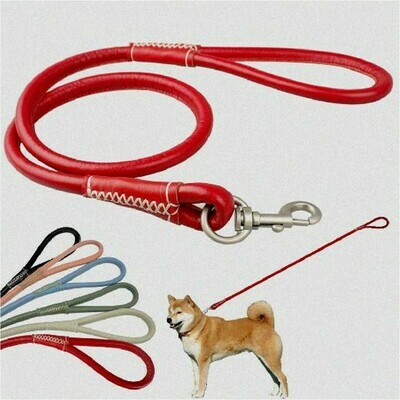 COLOURED LEATHER DOG LEASH blue red pink or black 8mmx110cm