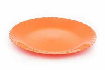 Mintra plastic dinner plate 9inch