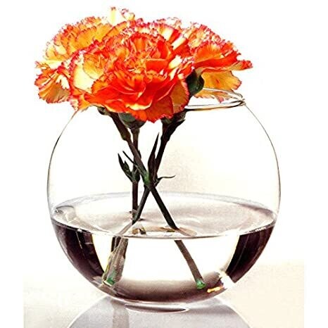 Pasabahce flower vase botanica Fish Bowl H:160mm #45068