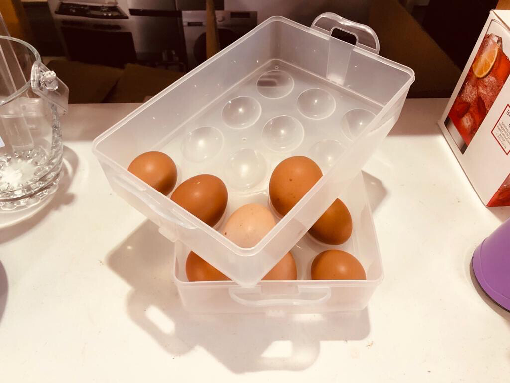 Egg Storage Container With Lid -24 Eggs tray