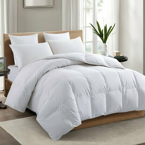 TC white Duvet Set With 1 Flat Sheet & 2 Pillow Case 5*6 #Estilo