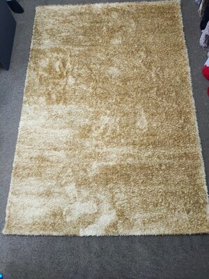 Shaggy fluffy living room carpet size 5x8 French