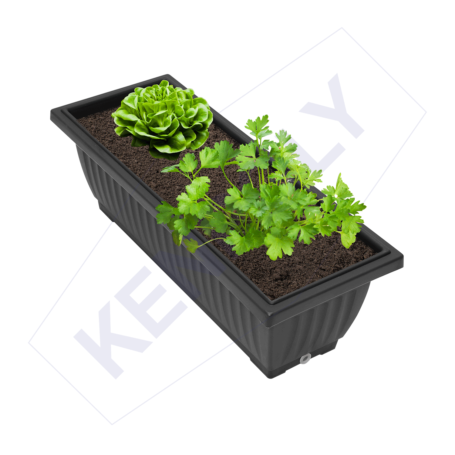 KENPOLY Rectangular Planter 8 - Elegant and Functional Garden Addition