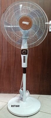 Redberry stand fan RST 601