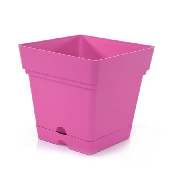 Mintra Home Plastic Garden Pots -Plant, Square, Pot, 6.5inch, (Blue), Ideal for Planting Flowers, Gardening, Plants, Durable, Indoor, Outdoor, Patio, Lawn and Garden Mintra Home Plastic Garden Pots -Plant, Square, Pot, 6.5inch, (Blue), Ideal for Planting Flowers, Gardening, Plants, Durable, Indoor, Outdoor, Patio, Lawn and Garden