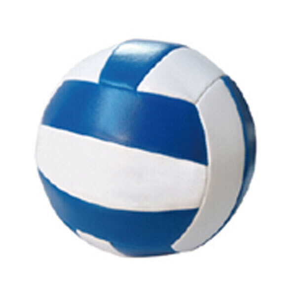 Beach Volleyball for water fun games