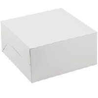 Generic White Cake Box - 20X20X10cm, Plain White, Model MPPCX003