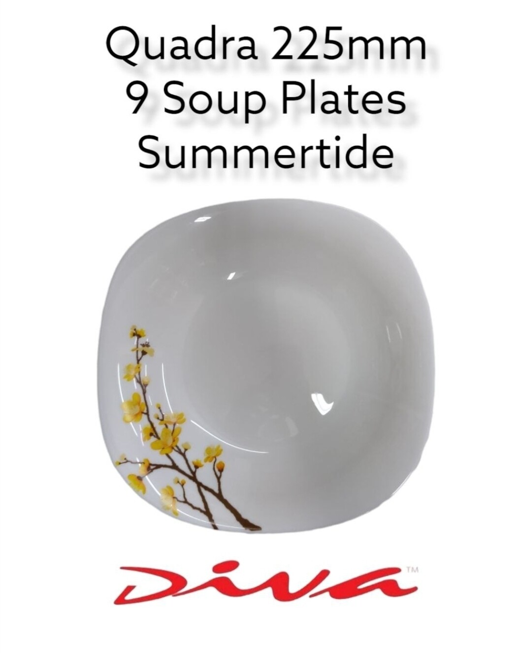 Diva 9 Quadra Square Soup Plates Summertide