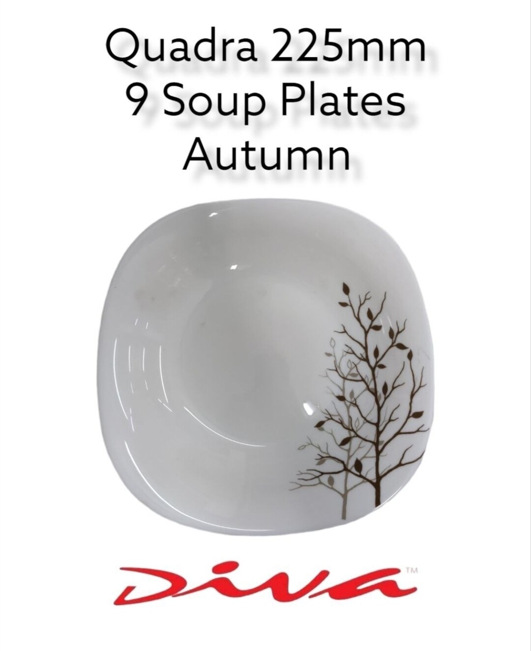 Diva 9" Quadra Square Soup Plates Autumn 3pcs