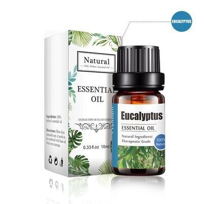 Essential oils Aromatherapy essential oils EUCALYPTUS 1 piece