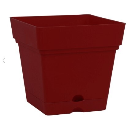 Mintra Large square planter with wheels & water reserve 38cm Burgundy
