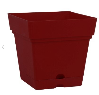 Mintra square planter with wheels 38cm Burgundy