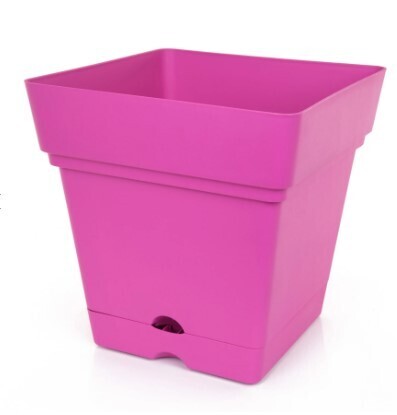 Mintra Large square planter with wheels &amp; water reserve 38cm Fushcia