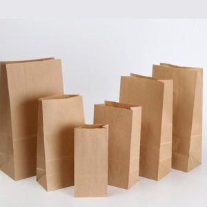 Brown khaki Mafuko bags 10pcs size 10 Craft Paper Bag Flat Bottom Bags for Grocery Eco Friendly Medicines Fruits