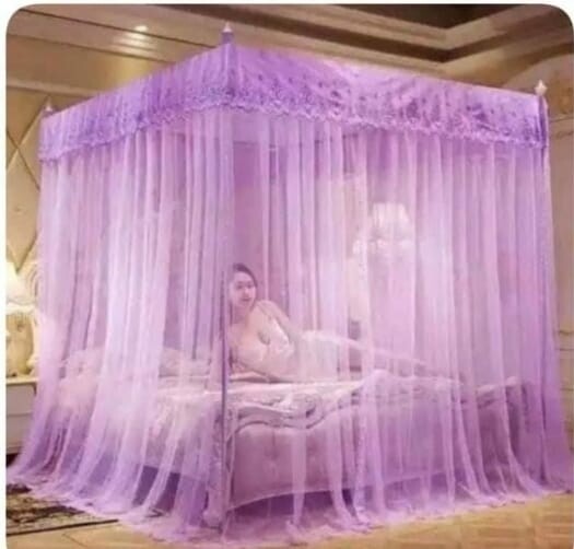 Mosquito net with stands 4x6 Purple