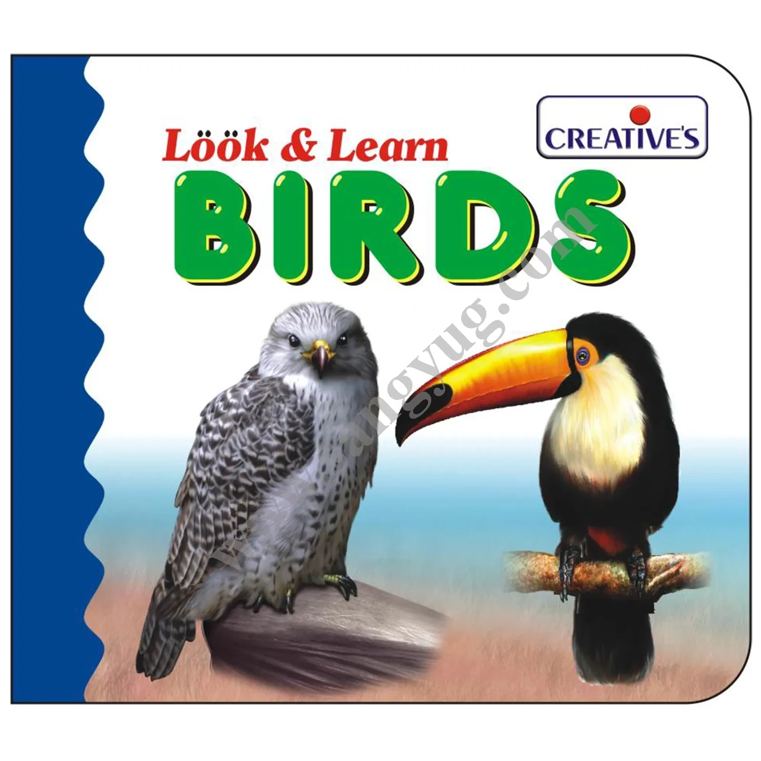 Creative look & learn board book - BIRDS 525