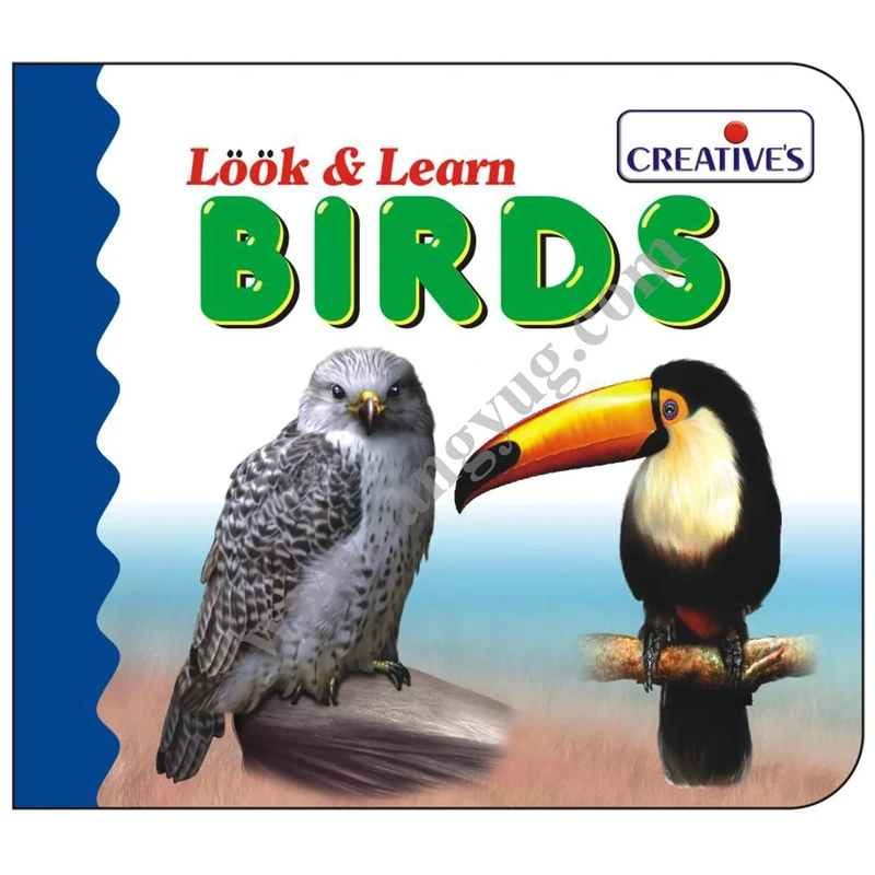 Creative look &amp; learn board book - BIRDS 525