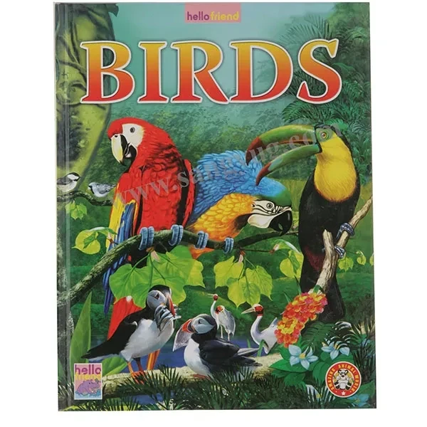 BOOK BIRDS COLORING HELLO FRIEND OCB-04