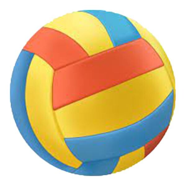 Safari beach volleyball coloured VB-SAFARI