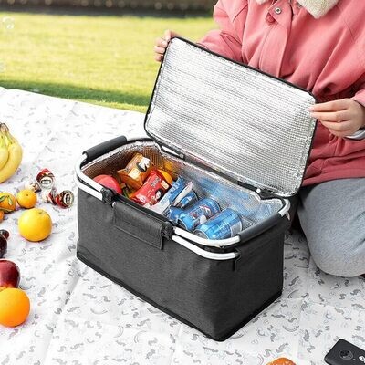 Collapsible Picnic Basket with Cooling Function - Insulated Carry Basket with Stand Bar BG-TA24 with aluminum foldable handles
