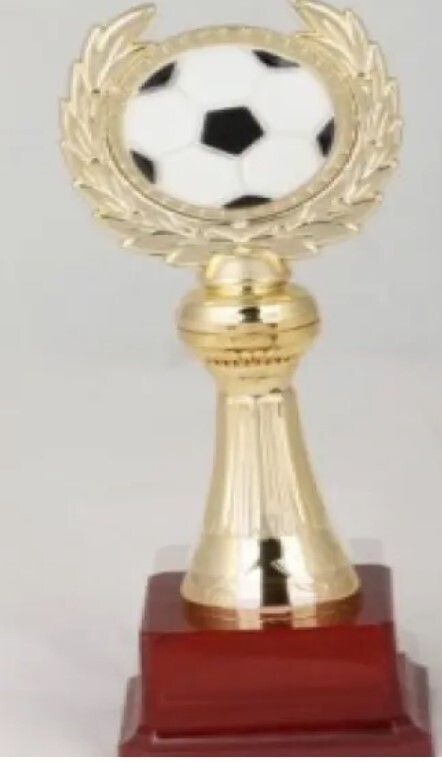 W005-A Budget Soccer Trophy