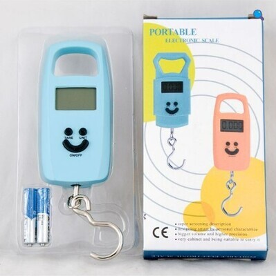 Portable Home Use Electronic Scale (Up to 50kg) - Model 4302