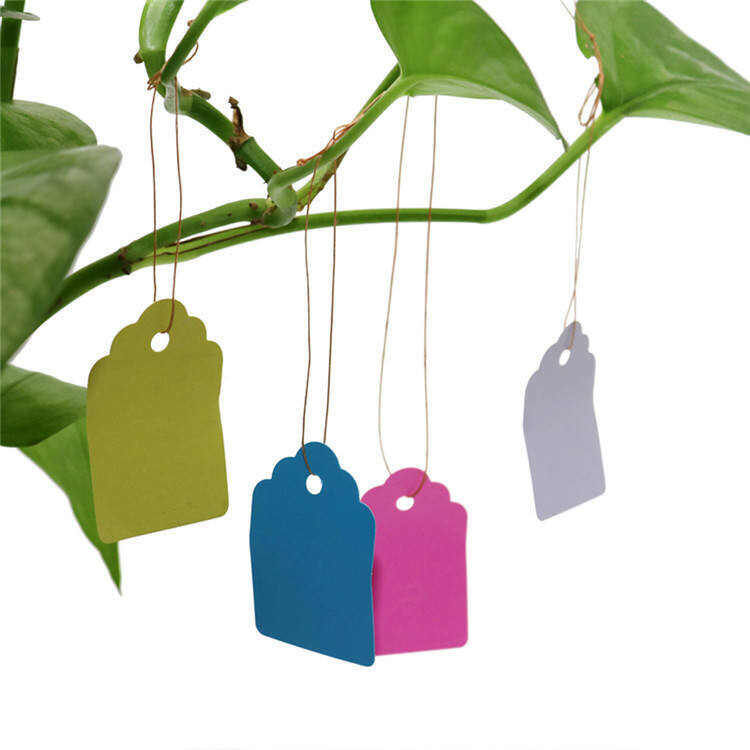 Hanging Garden Plant Tags - Assorted Colors (White, Yellow, Blue, Green, Red) - 2.5 x 3.5cm - 10pcs Set