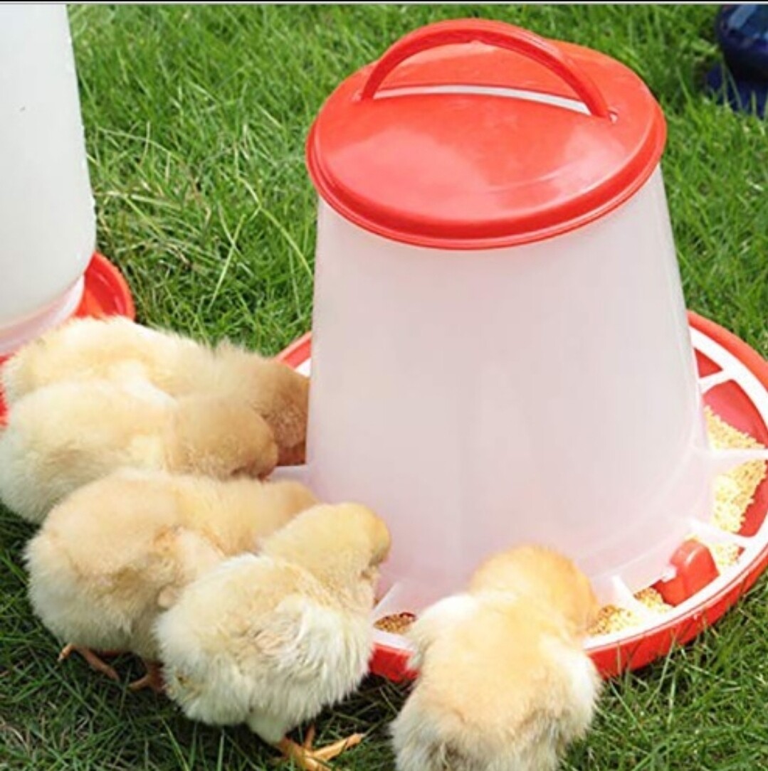 Heavy Duty Plastic Chicken Feeder - 3.5kg Capacity