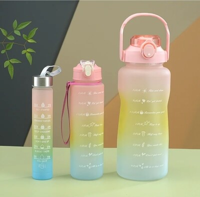 Ombré Inspirations: Set of 3 Sporty Motivational Water Bottles in Pink and Blue"