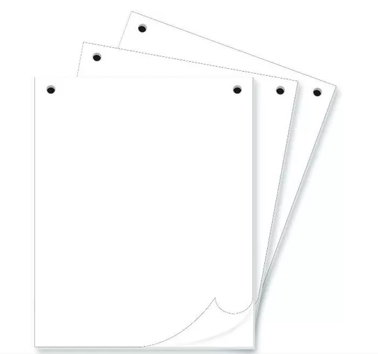 Flip Chart Sheets A1 (50 Sheets)