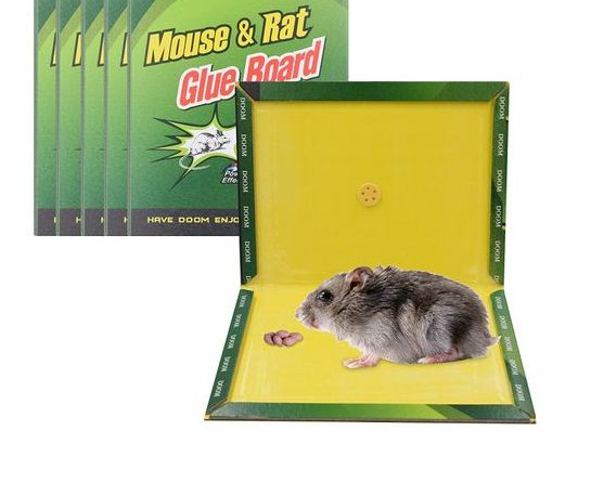 Large Mouse & Rat Glue Trap - Size 21x16cm (Model 157730)
