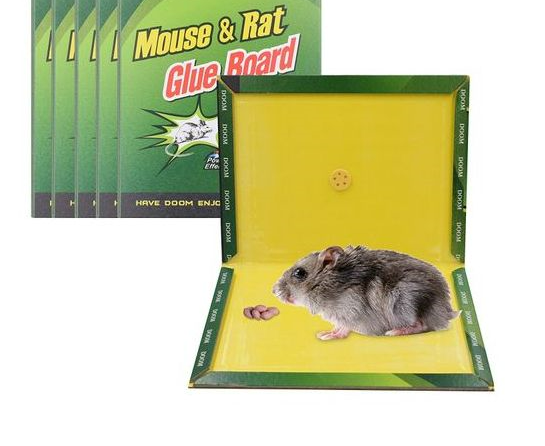 Large Mouse &amp; Rat Glue Trap - Size 21x16cm (Model 157730)