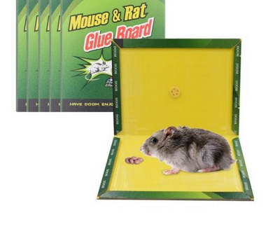 Mouse &amp; Rat Glue Trap - Small Size 17x12cm (Model 157731)
