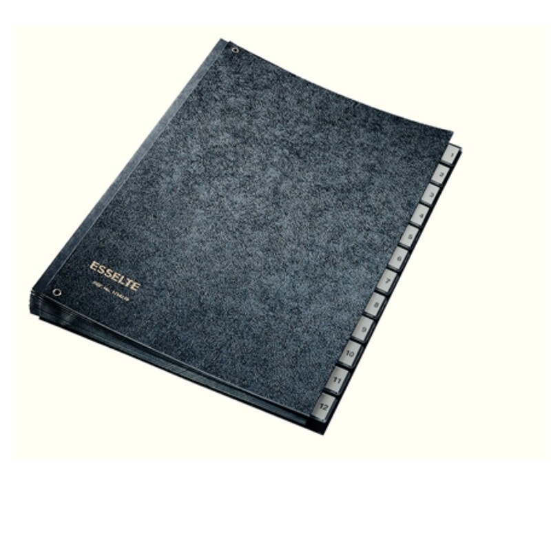 Leitz 12-Month File 1114219 | Efficient Daily Document Management