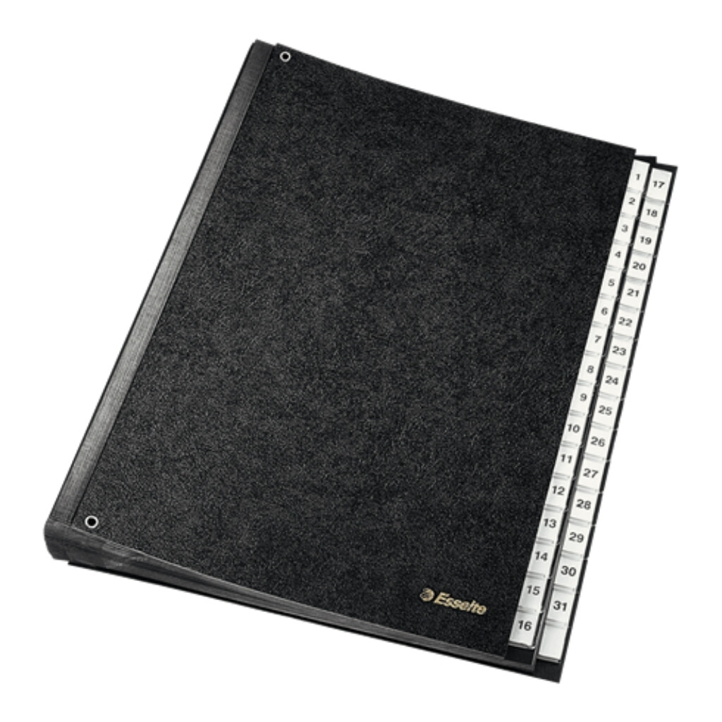 Leitz File (1-31) | Daily Organization File, A4 Format