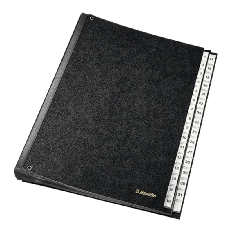 Leitz File (1-31) | Daily Organization File, A4 Format