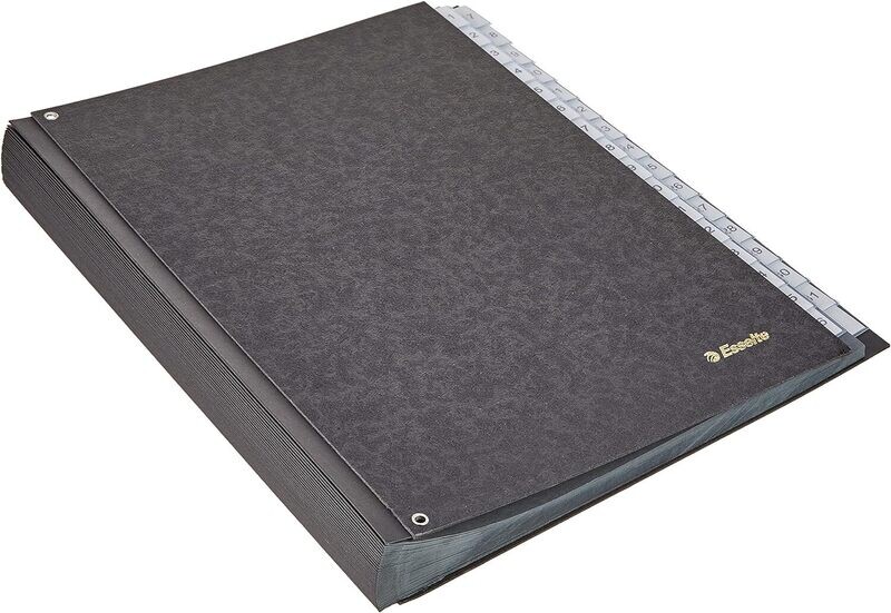 Esselte Monthly File (31 Tabs) 1114119 | Organize Daily Documents