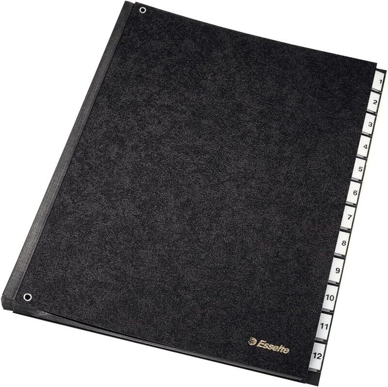 Esselte 1-12 Organization File 1114219 | Simplify Daily Document Management