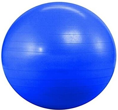 Anti-Burst Gym Ball 55Cm