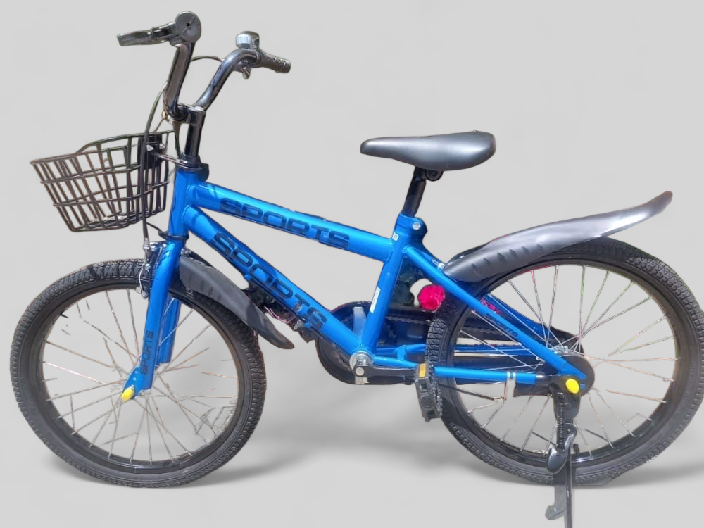Striker 20" BMX Bicycle for Kids 7-14yrs (Blue)