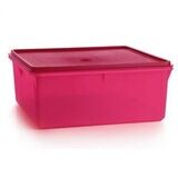 Tupperware® Store Smart | 10L Container